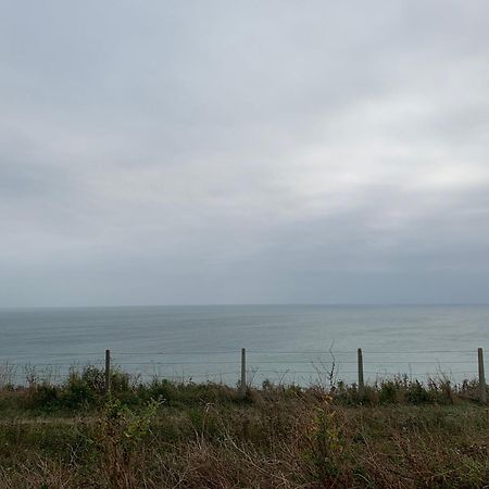 Sanctuary By The Sea With Large Room Including Lounge, Bathroom, Direct Garden Access & Free Parking Brighton Exterior photo